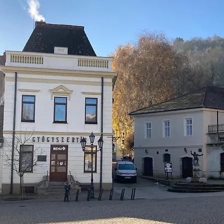 Apartment Kisbirs Vendeghaz Tokaj