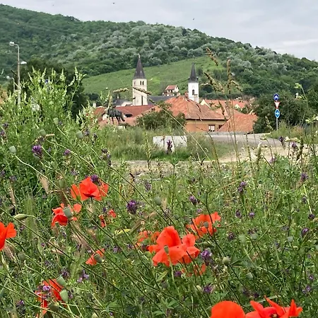 Διαμέρισμα Kisbirs Vendeghaz Tokaj